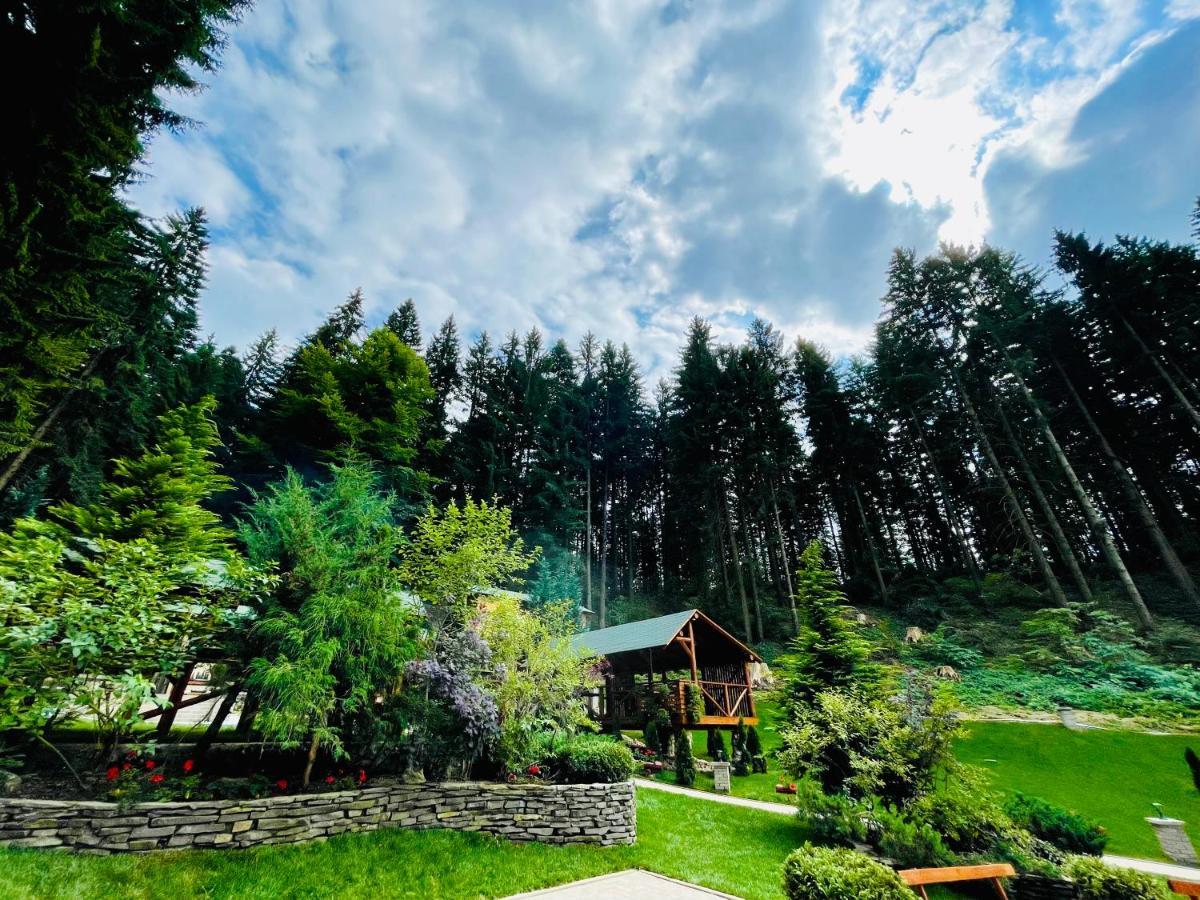 Boutique Hotel Casa Emil 포이아나브라소프 외부 사진