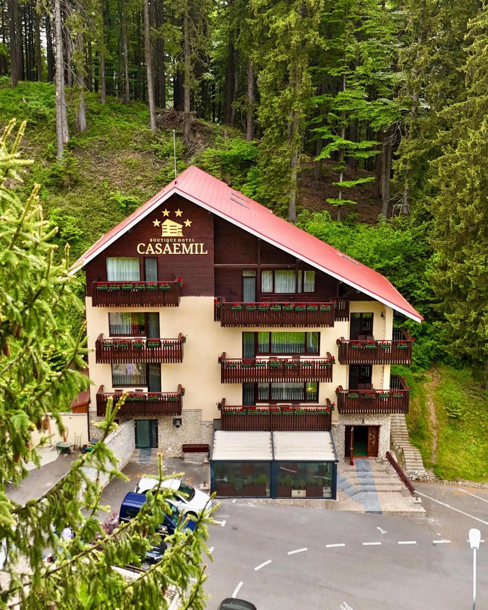 Boutique Hotel Casa Emil 포이아나브라소프 외부 사진